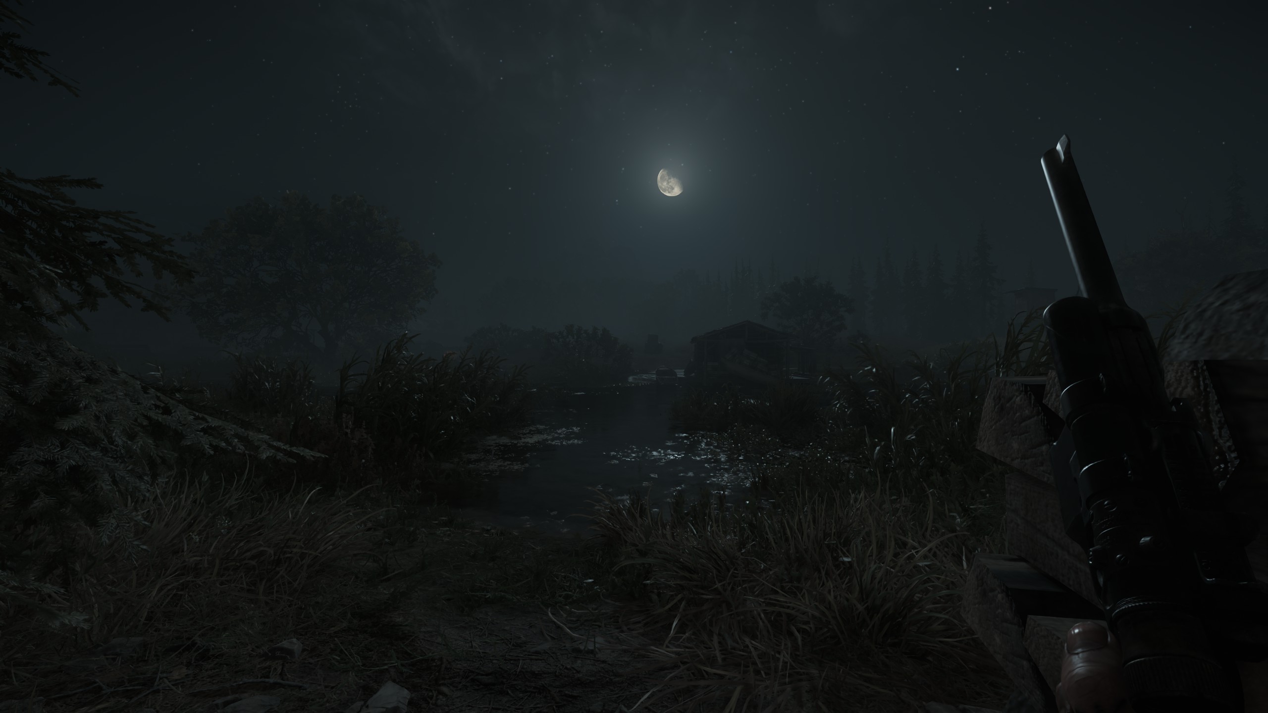 Hunt Showdown Screenshot